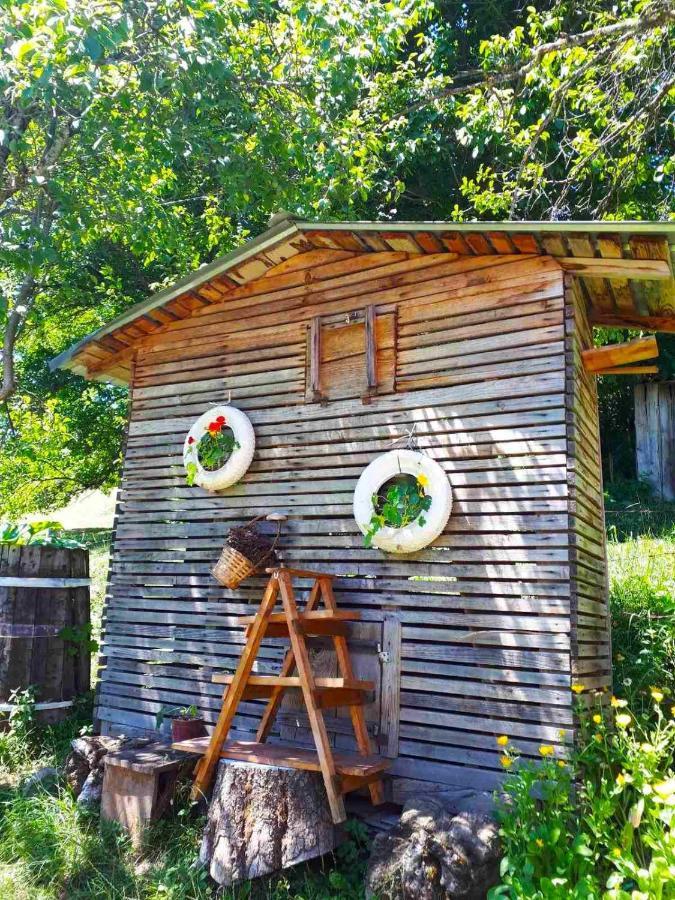 Villa Household Babovic - Old House Miljan'S Valley Andrijevica Exterior foto