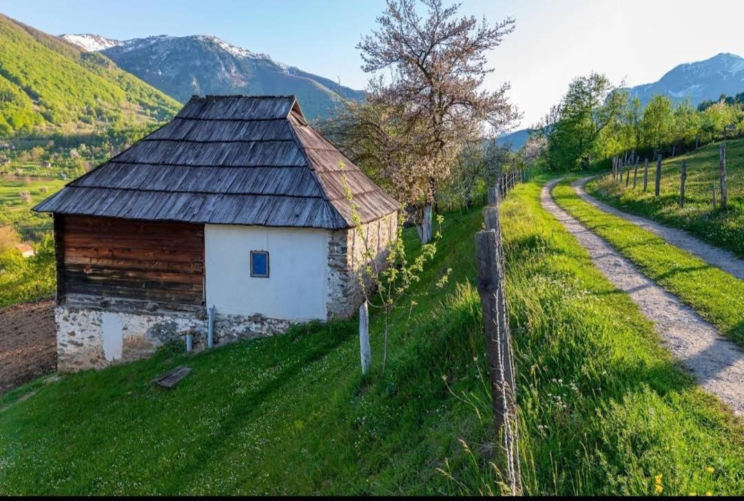 Villa Household Babovic - Old House Miljan'S Valley Andrijevica Exterior foto