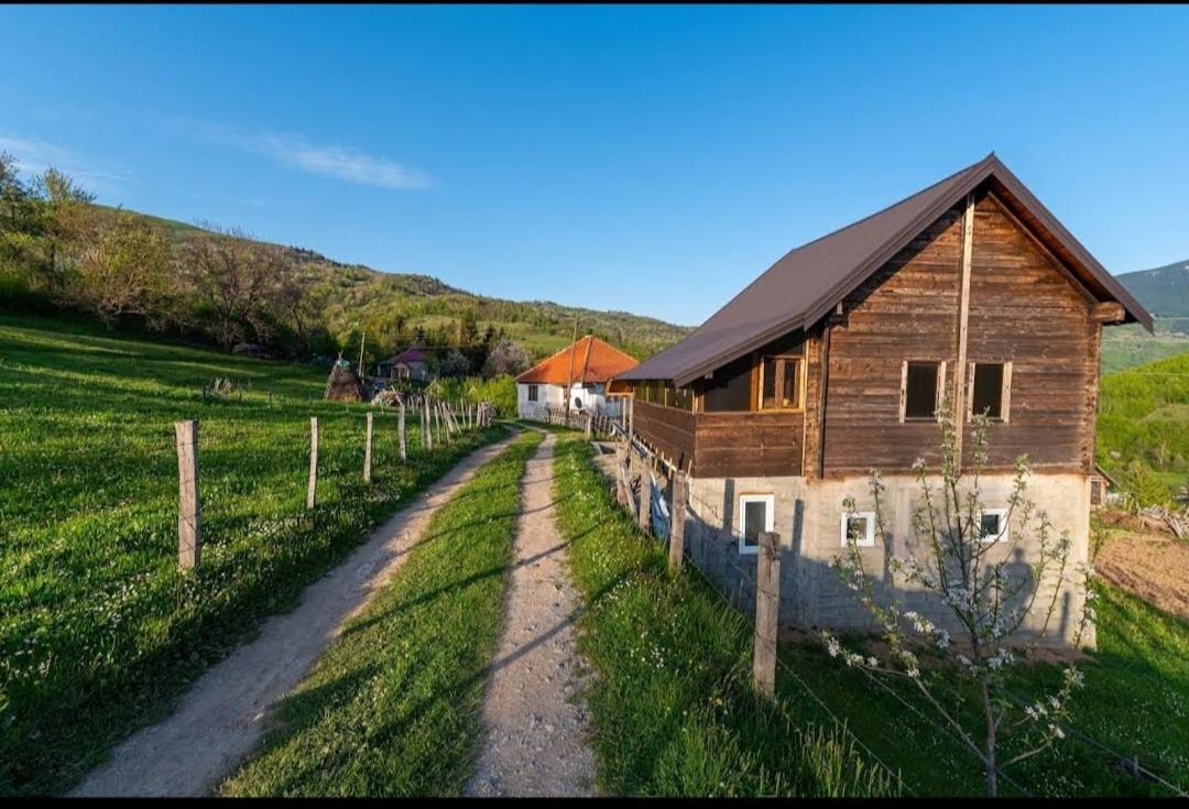 Villa Household Babovic - Old House Miljan'S Valley Andrijevica Exterior foto